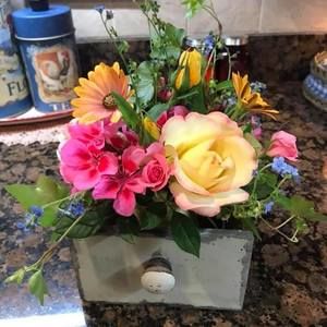 Meet your Posher, Gina